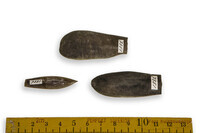 F 07351
<br/>
<br/>
<em></em>